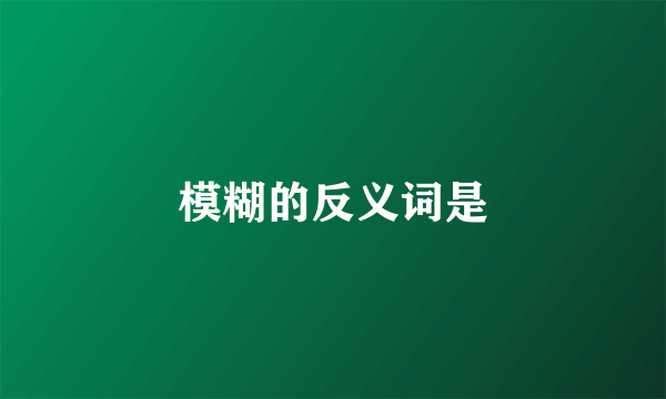模糊的反义词是