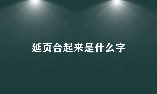 延页合起来是什么字