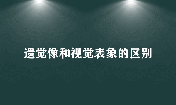 遗觉像和视觉表象的区别