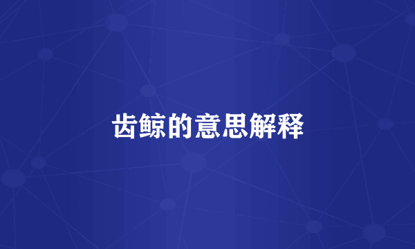 齿鲸的意思解释