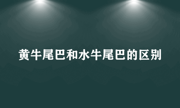 黄牛尾巴和水牛尾巴的区别