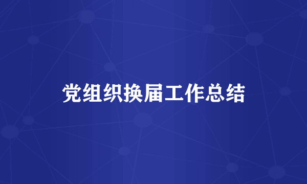 党组织换届工作总结