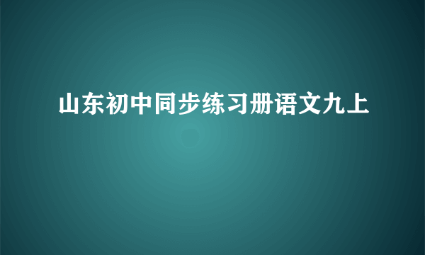 山东初中同步练习册语文九上
