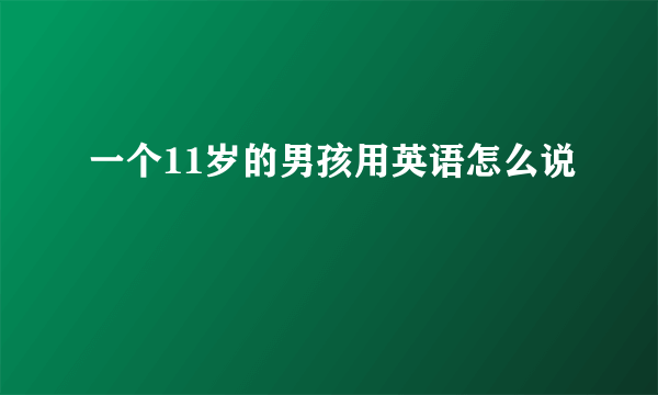 一个11岁的男孩用英语怎么说