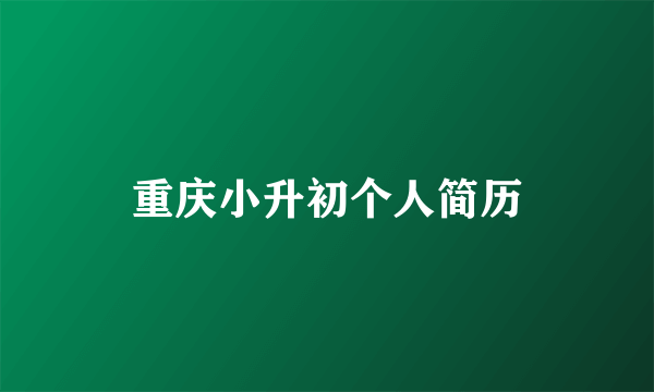 重庆小升初个人简历
