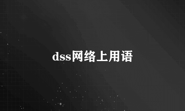 dss网络上用语