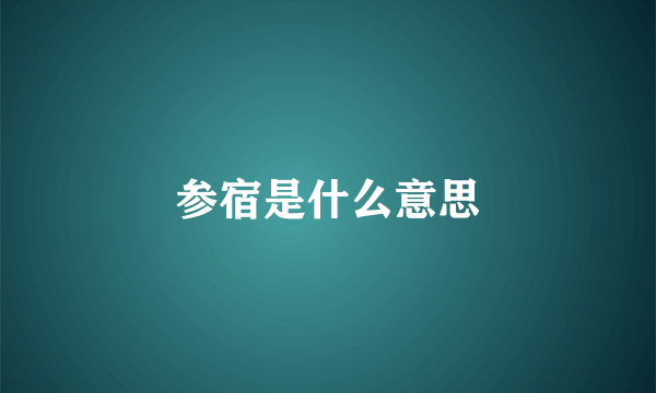 参宿是什么意思