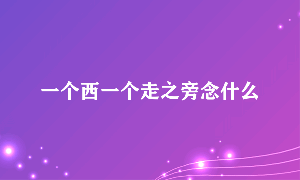 一个西一个走之旁念什么