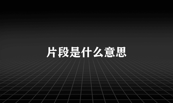 片段是什么意思