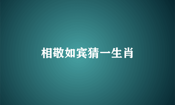 相敬如宾猜一生肖