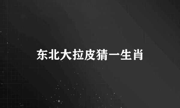 东北大拉皮猜一生肖