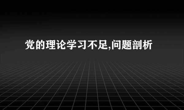 党的理论学习不足,问题剖析