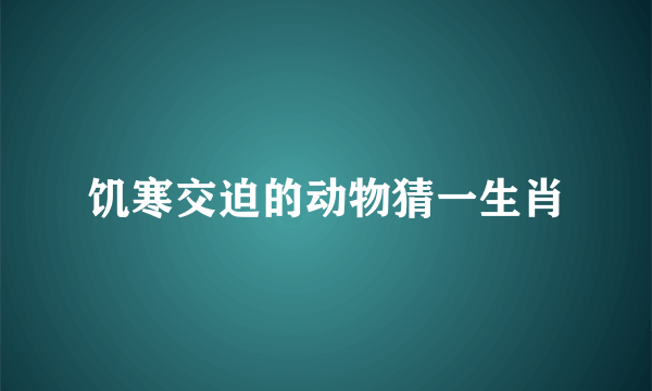 饥寒交迫的动物猜一生肖