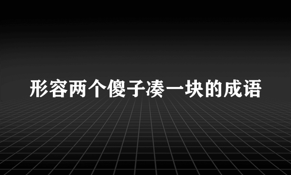 形容两个傻子凑一块的成语