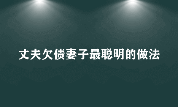 丈夫欠债妻子最聪明的做法