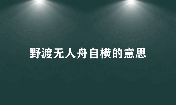 野渡无人舟自横的意思