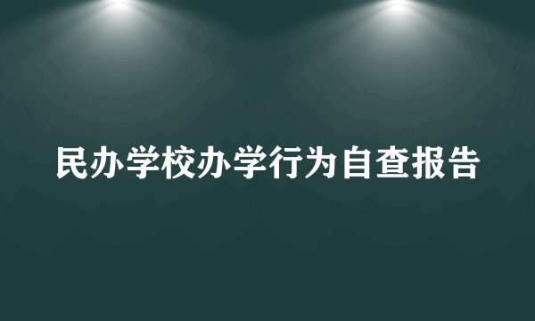 民办学校办学行为自查报告