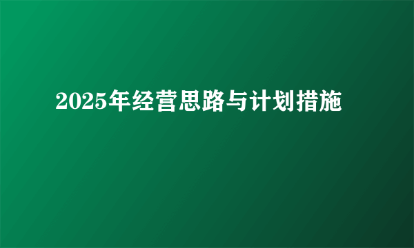 2025年经营思路与计划措施