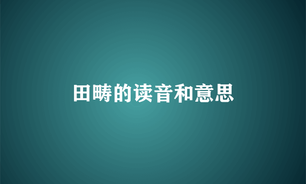 田畴的读音和意思
