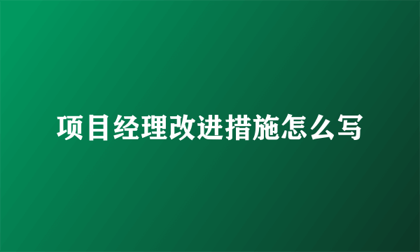 项目经理改进措施怎么写