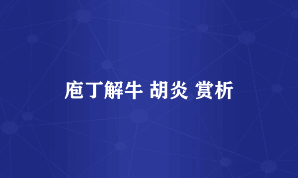 庖丁解牛 胡炎 赏析