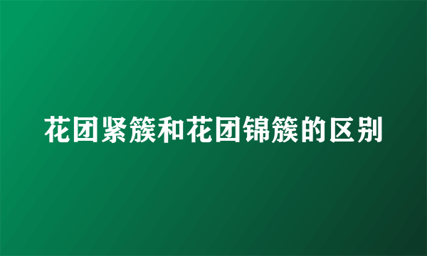 花团紧簇和花团锦簇的区别
