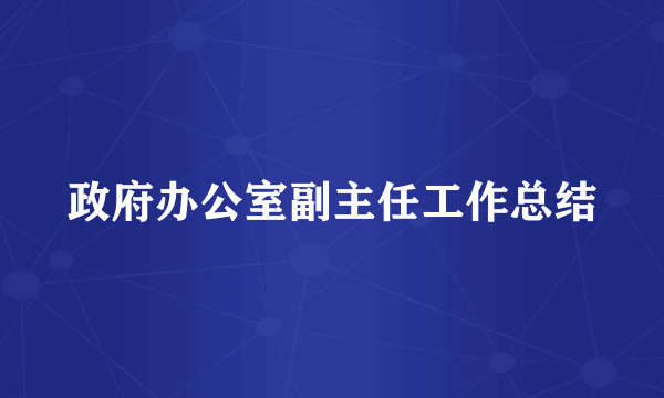 政府办公室副主任工作总结