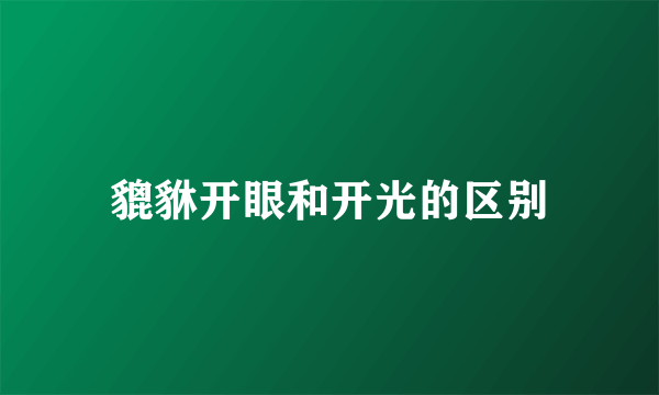 貔貅开眼和开光的区别