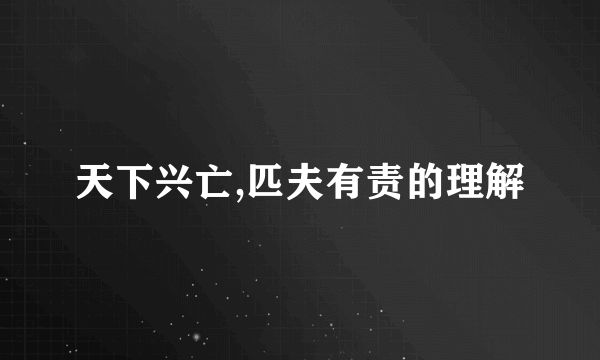 天下兴亡,匹夫有责的理解