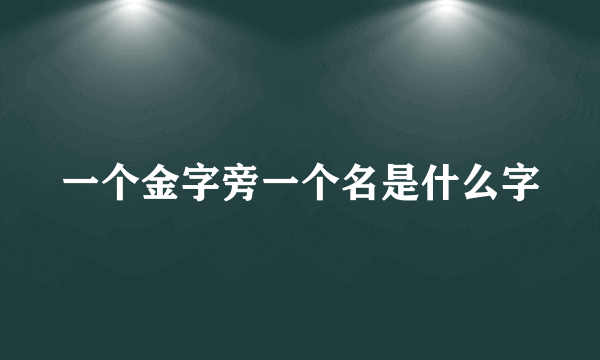 一个金字旁一个名是什么字