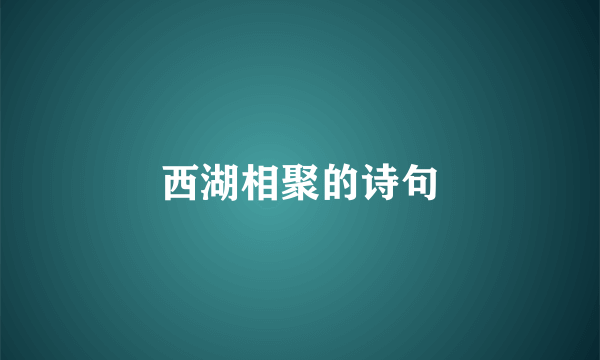 西湖相聚的诗句