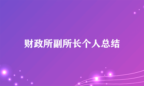 财政所副所长个人总结