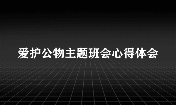 爱护公物主题班会心得体会