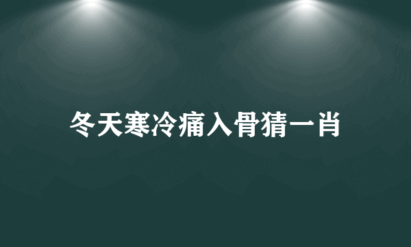 冬天寒冷痛入骨猜一肖