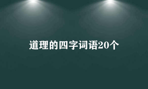 道理的四字词语20个