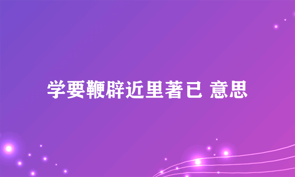 学要鞭辟近里著已 意思