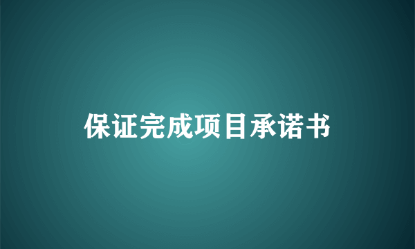 保证完成项目承诺书