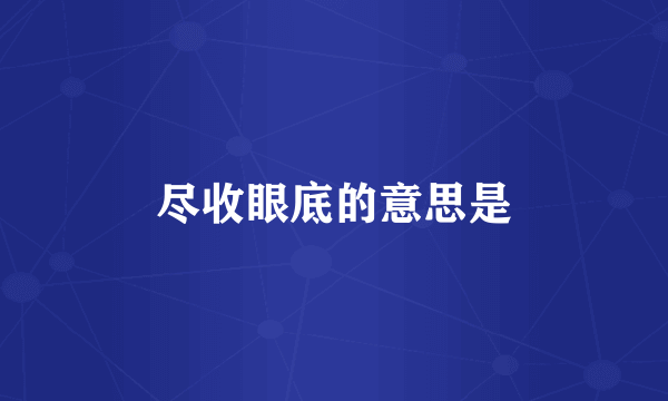 尽收眼底的意思是