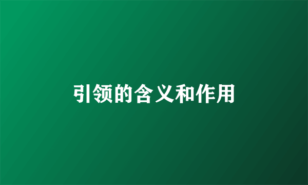 引领的含义和作用