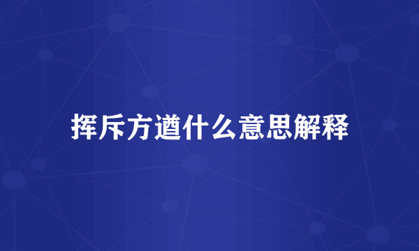 挥斥方遒什么意思解释