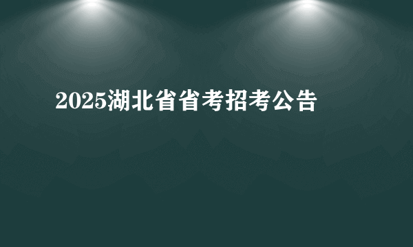 2025湖北省省考招考公告