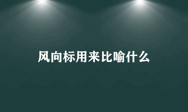 风向标用来比喻什么