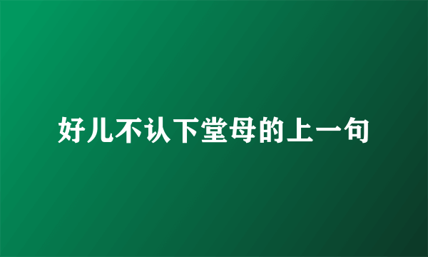 好儿不认下堂母的上一句