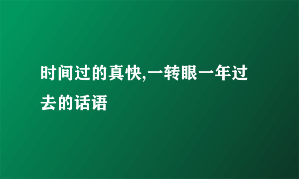 时间过的真快,一转眼一年过去的话语