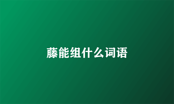 藤能组什么词语