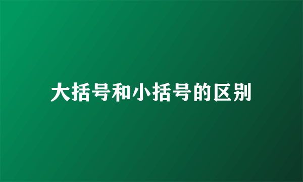 大括号和小括号的区别