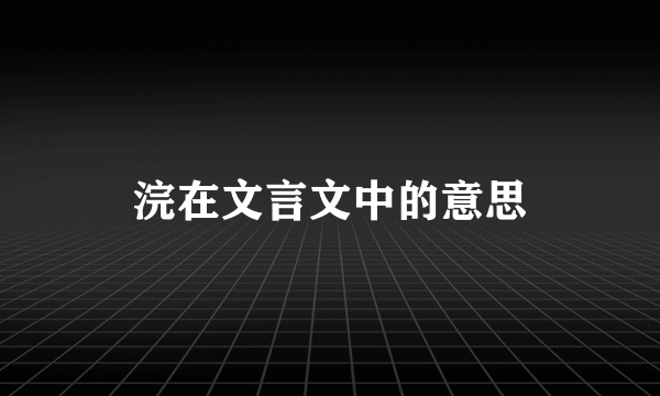 浣在文言文中的意思