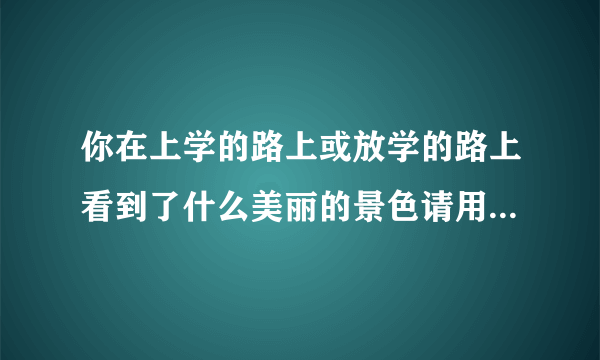 你在上学的路上或放学的路上看到了什么美丽的景色请用几句话描写