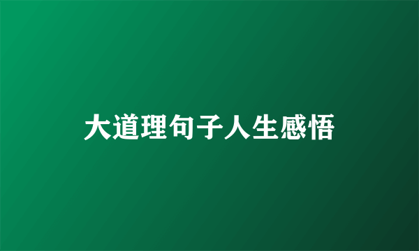 大道理句子人生感悟