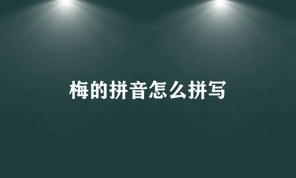梅的拼音怎么拼写